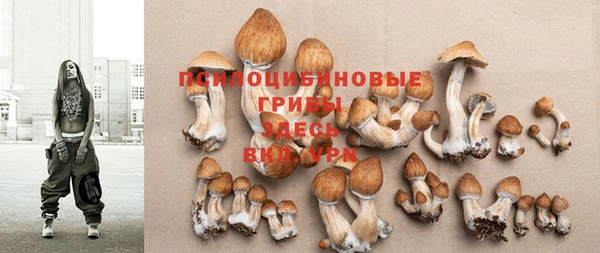 герыч Кинешма