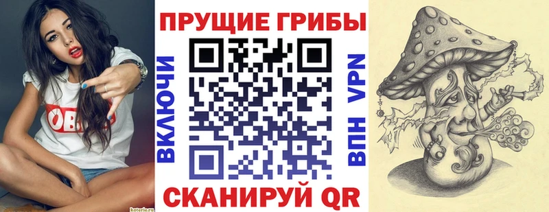 Купить закладки  Буйнакск  Псилоцибиновые грибы MAGIC MUSHROOMS 